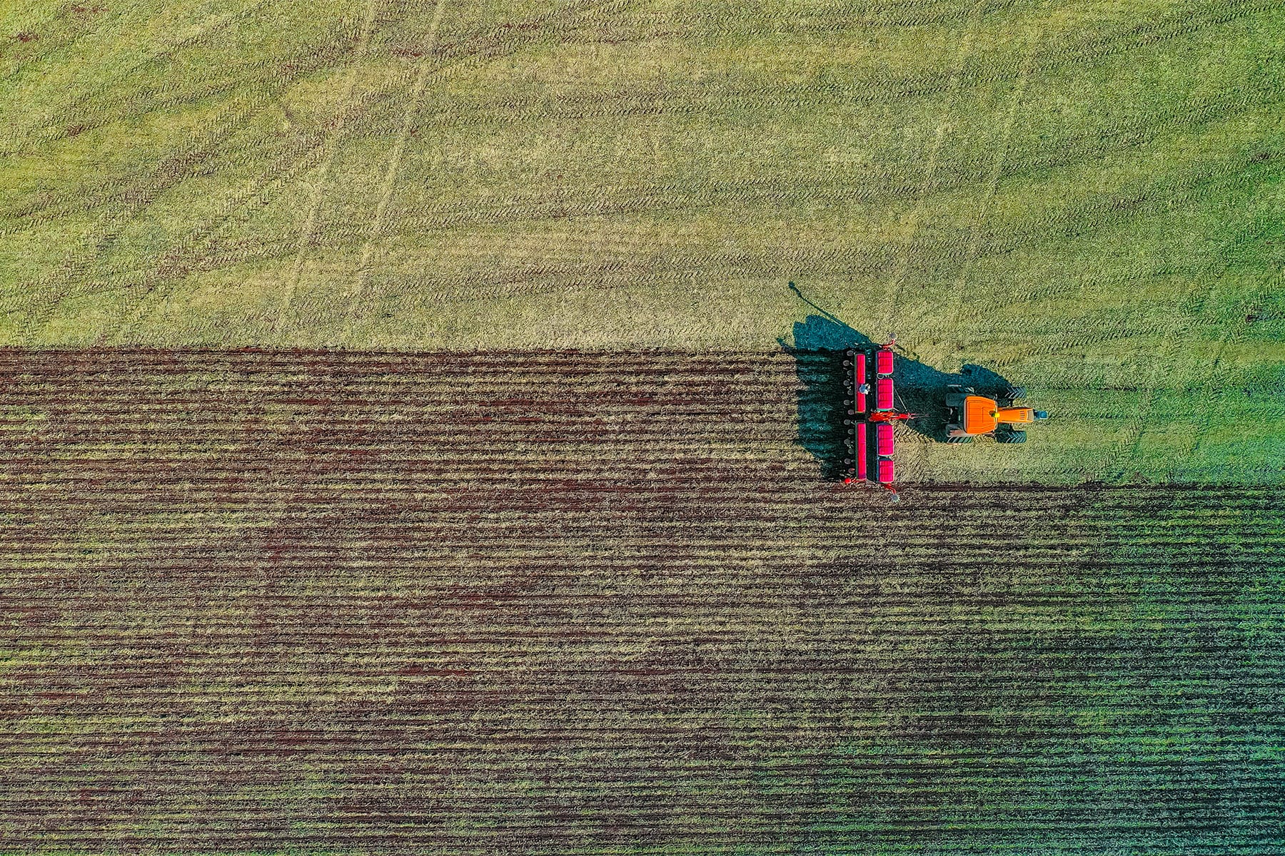 La edición genética adelanta por la derecha a la naturaleza: es el momento de crear mejores cultivos