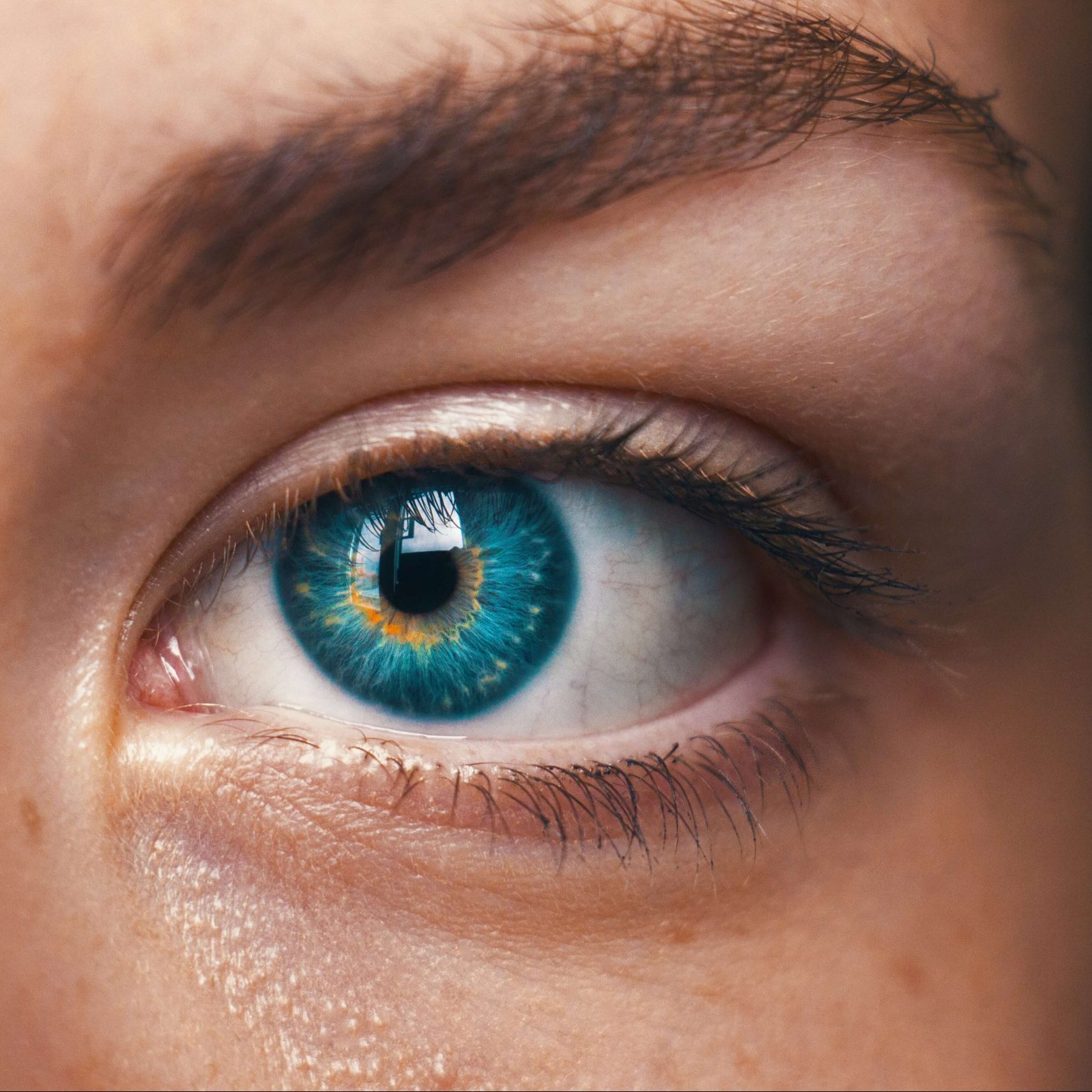 ¿Qué es Inteligencia Artificial?