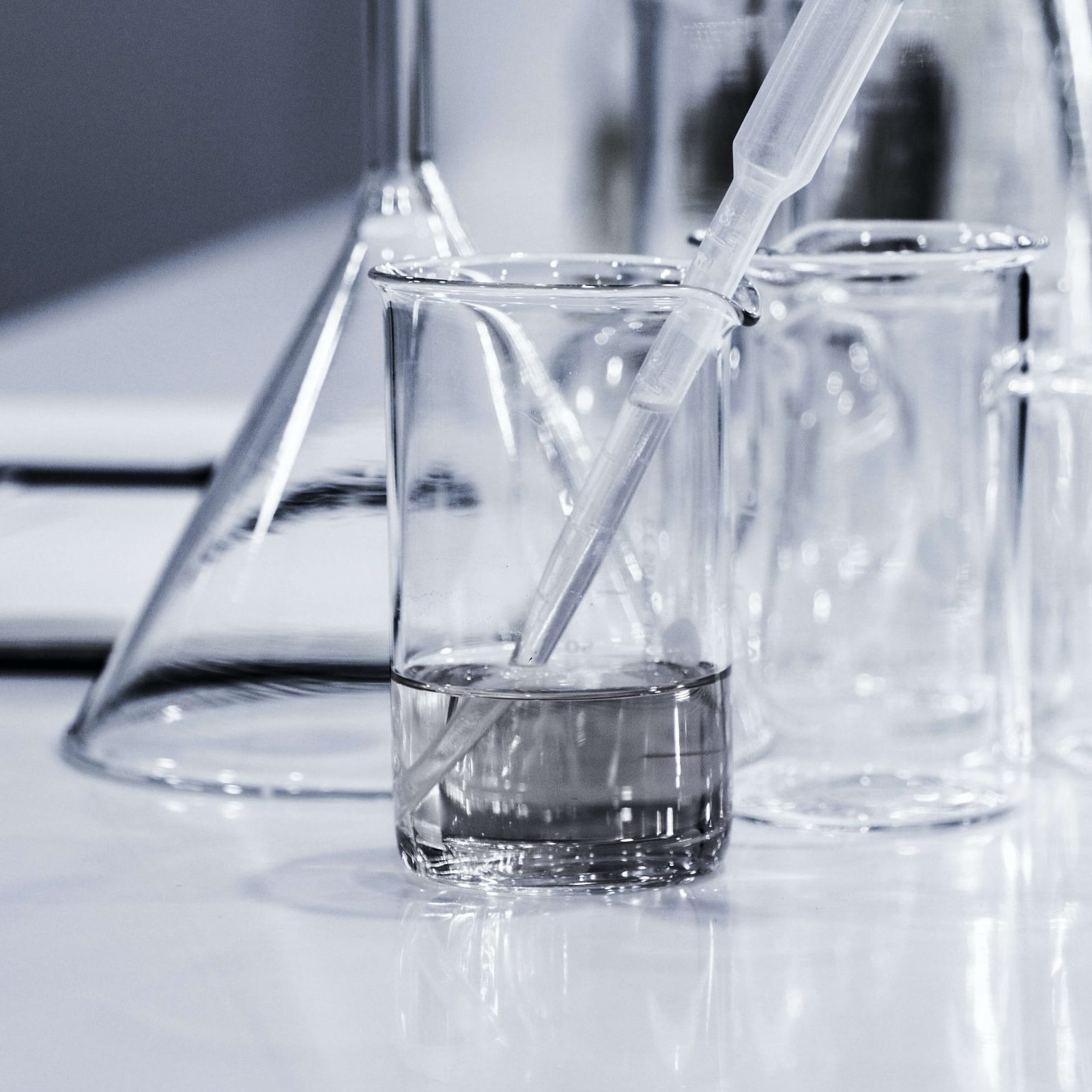 El futuro de la economía y de nuestra salud pasa por la investigación y el fomento del talento según María José Alonso.