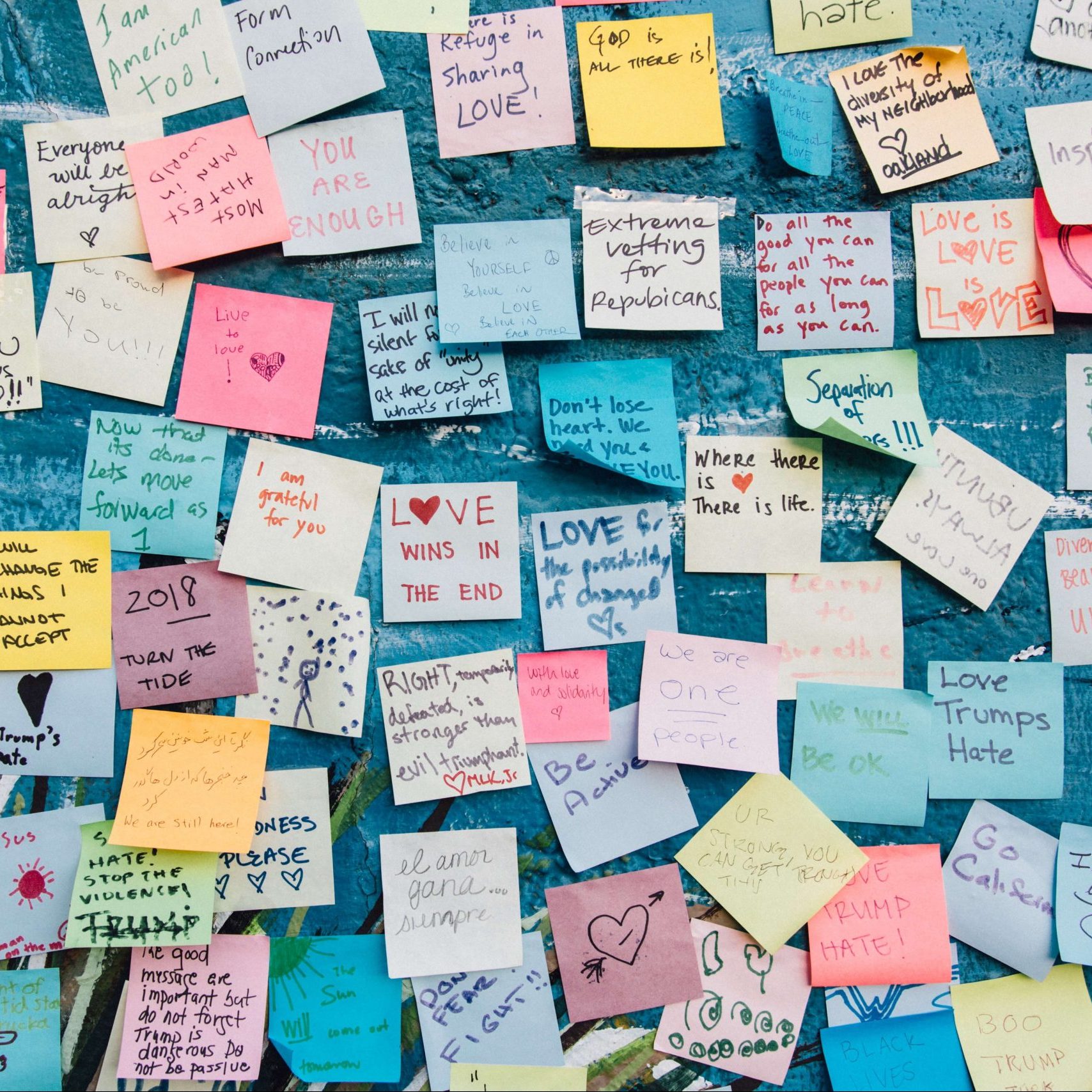 Estructura Social de la longevidad