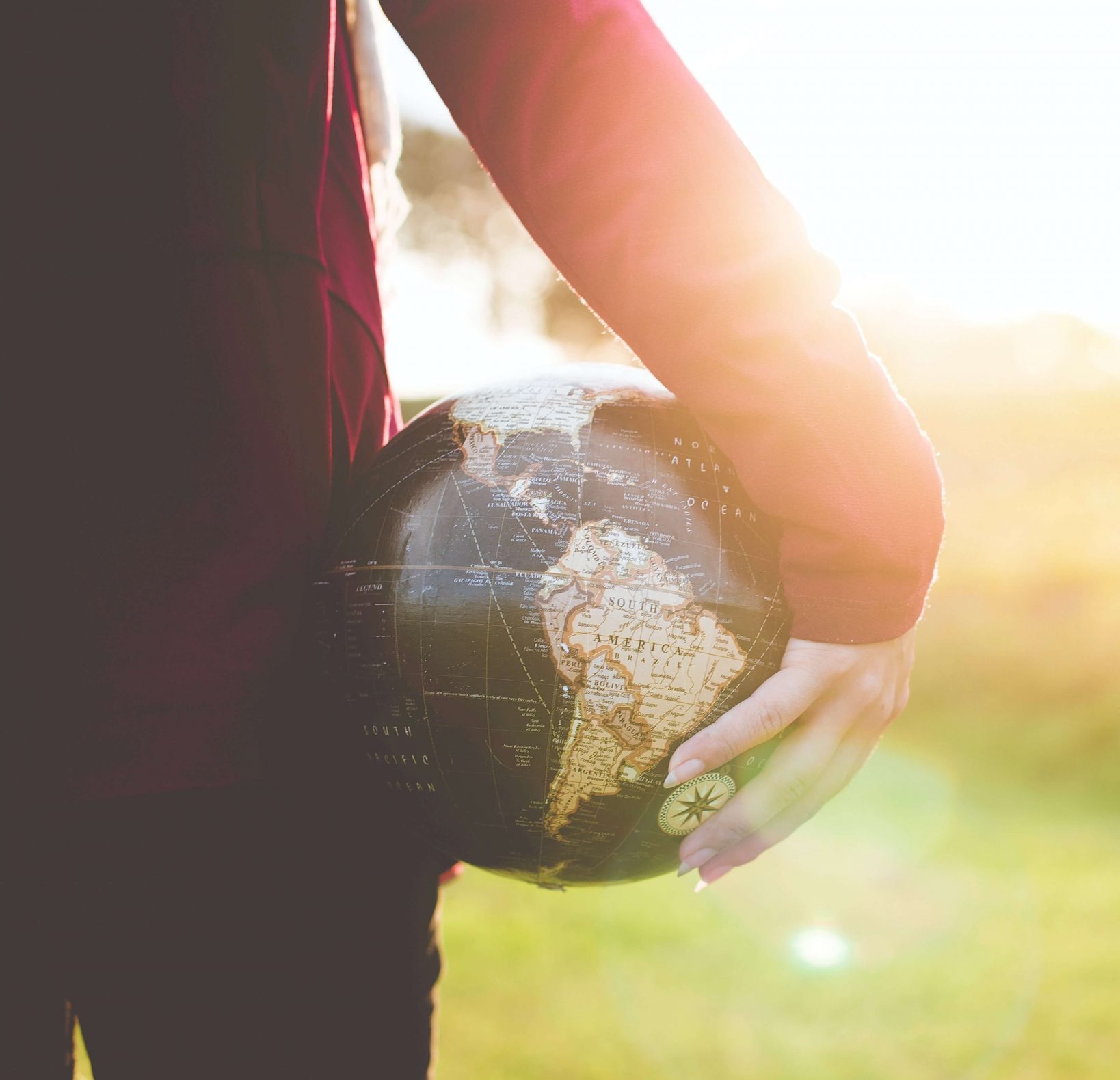 Longevidad y Demografía