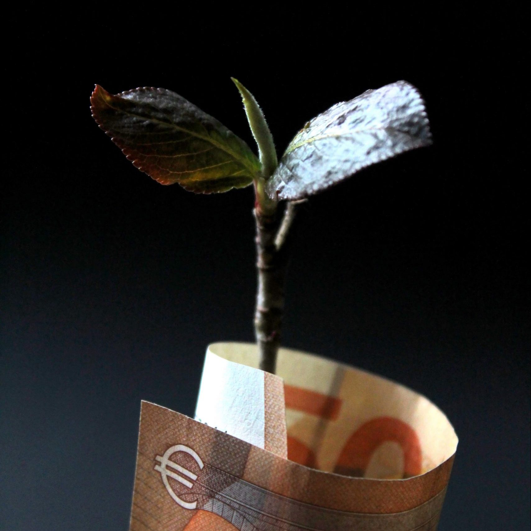 ¿Cómo conseguir la primera inversión en tu startup?