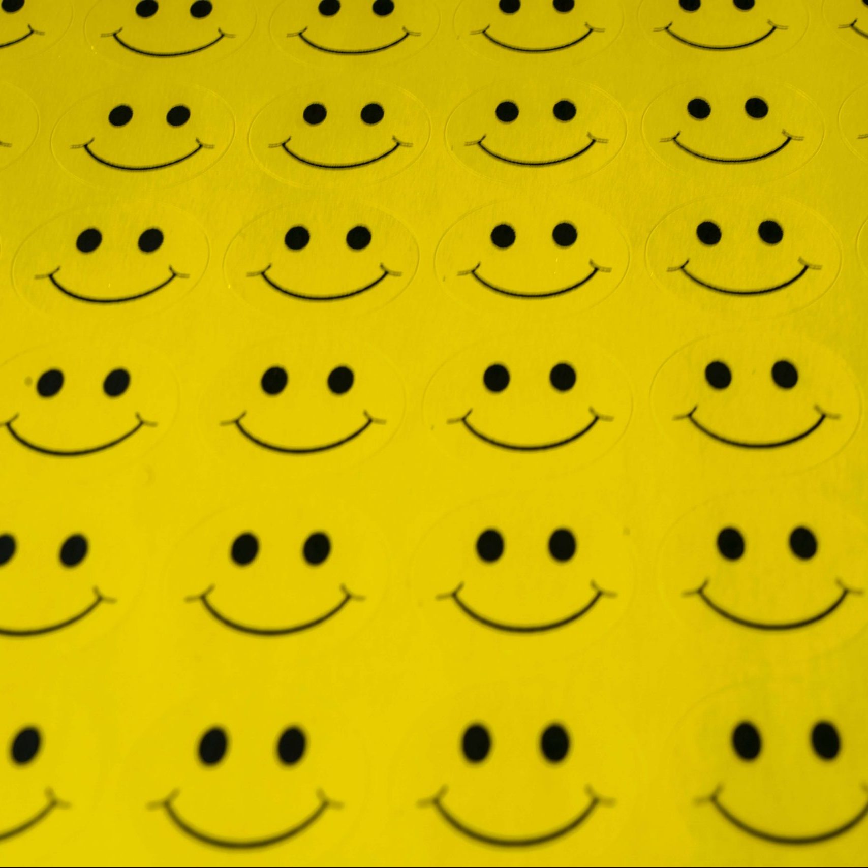 Biomímesis: naturaleza como fuente de inspiración para la innovación