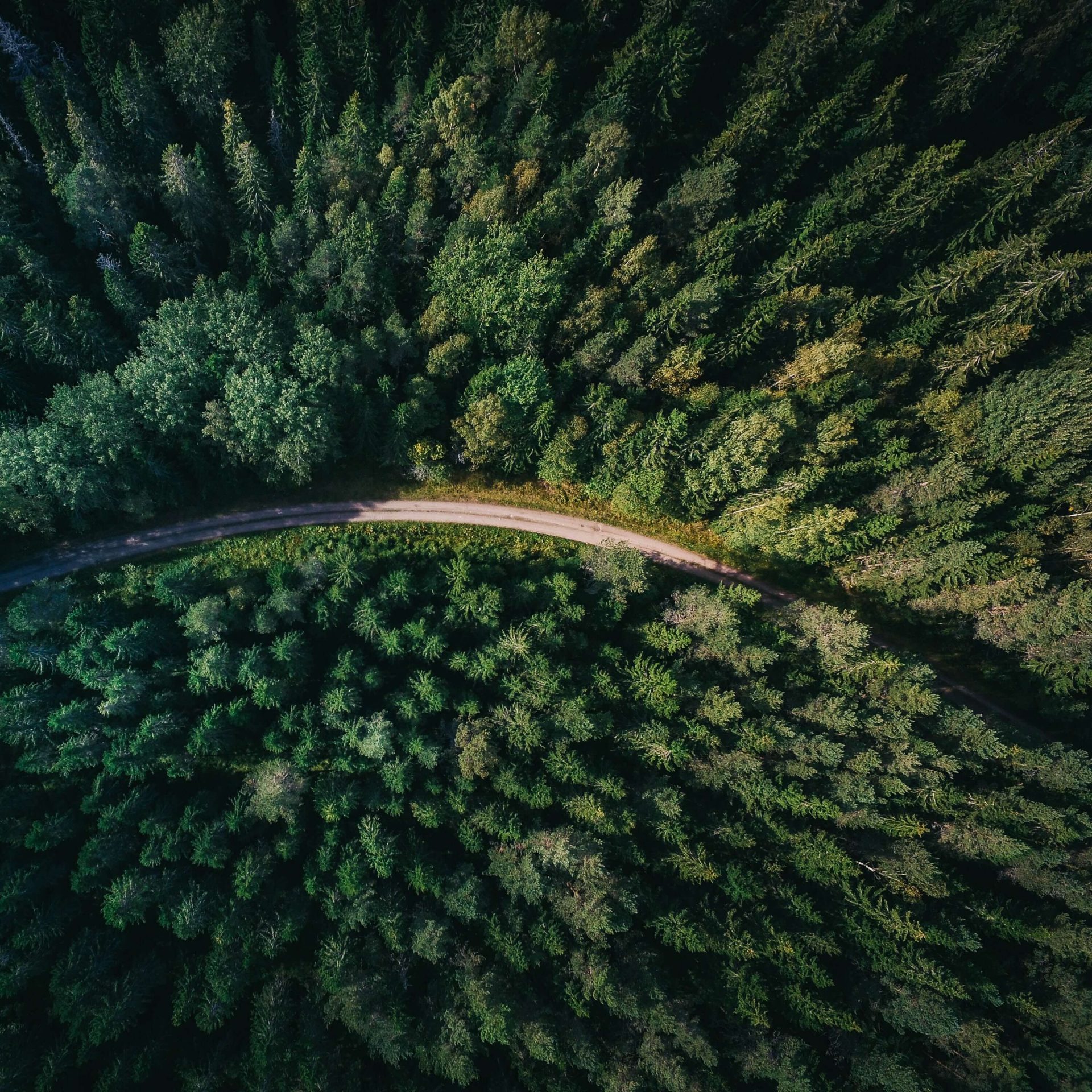 Qué es el Net Zero y cómo nos ayudará la innovación a lograrlo