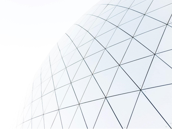 Mucho más que empresas: nuevos modelos de negocio para una economía sostenible 