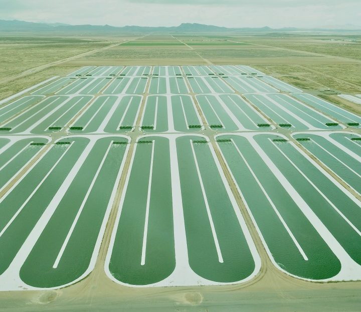 Transformación de desiertos en zonas de cultivo